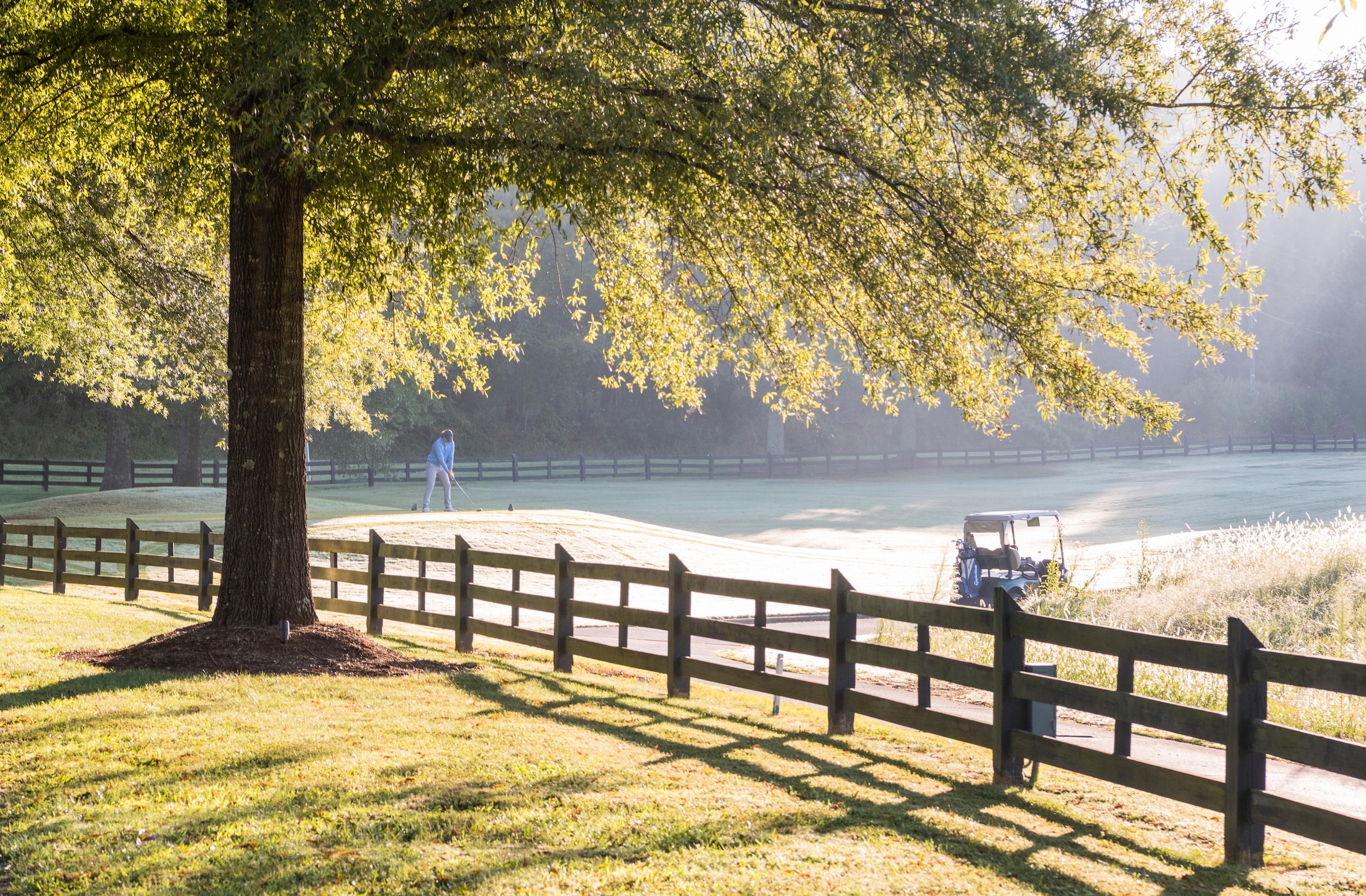 A person playing golf with the light from the sun shining down on them through the trees.