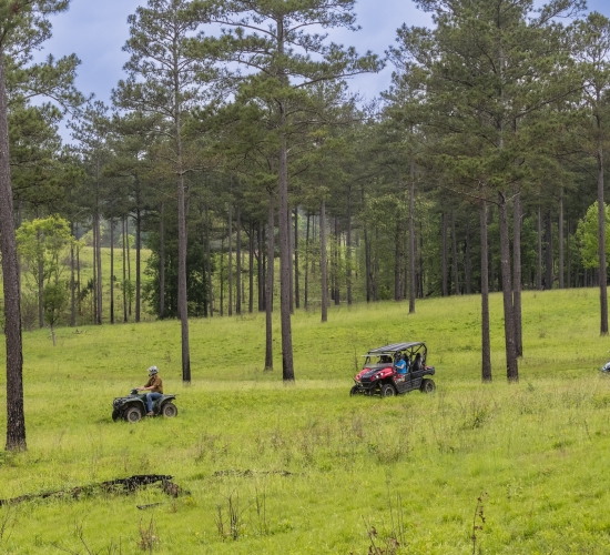 Three UTVs driving through a field at Barnsley Resort.