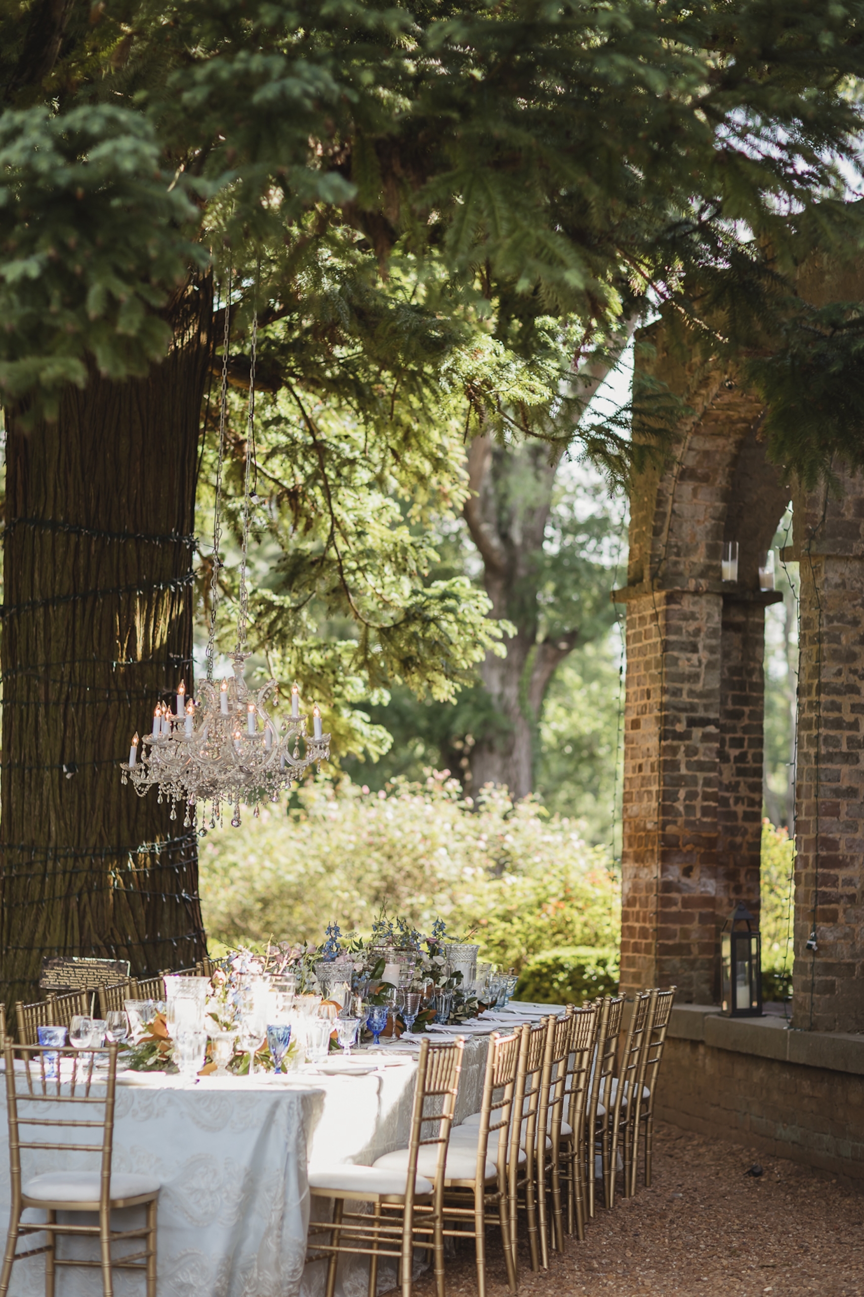 An banquet table set up outdoors for a wedding under a large tree with an ornate chandelier hanging from the branches.