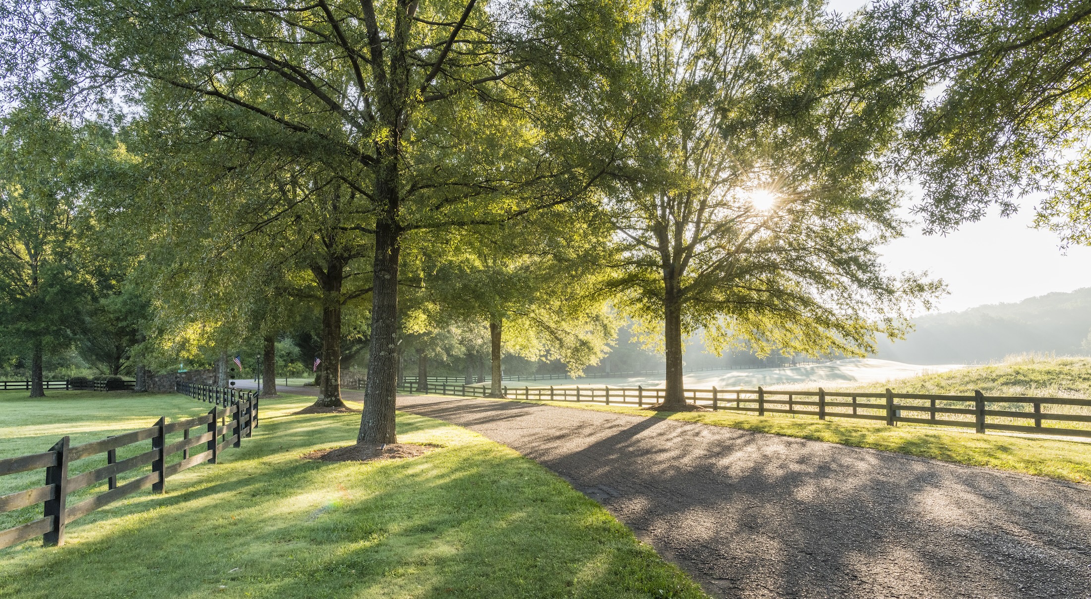 A well-manicured trail lined with tall lush trees and a field in the background at Barnsley Resort.