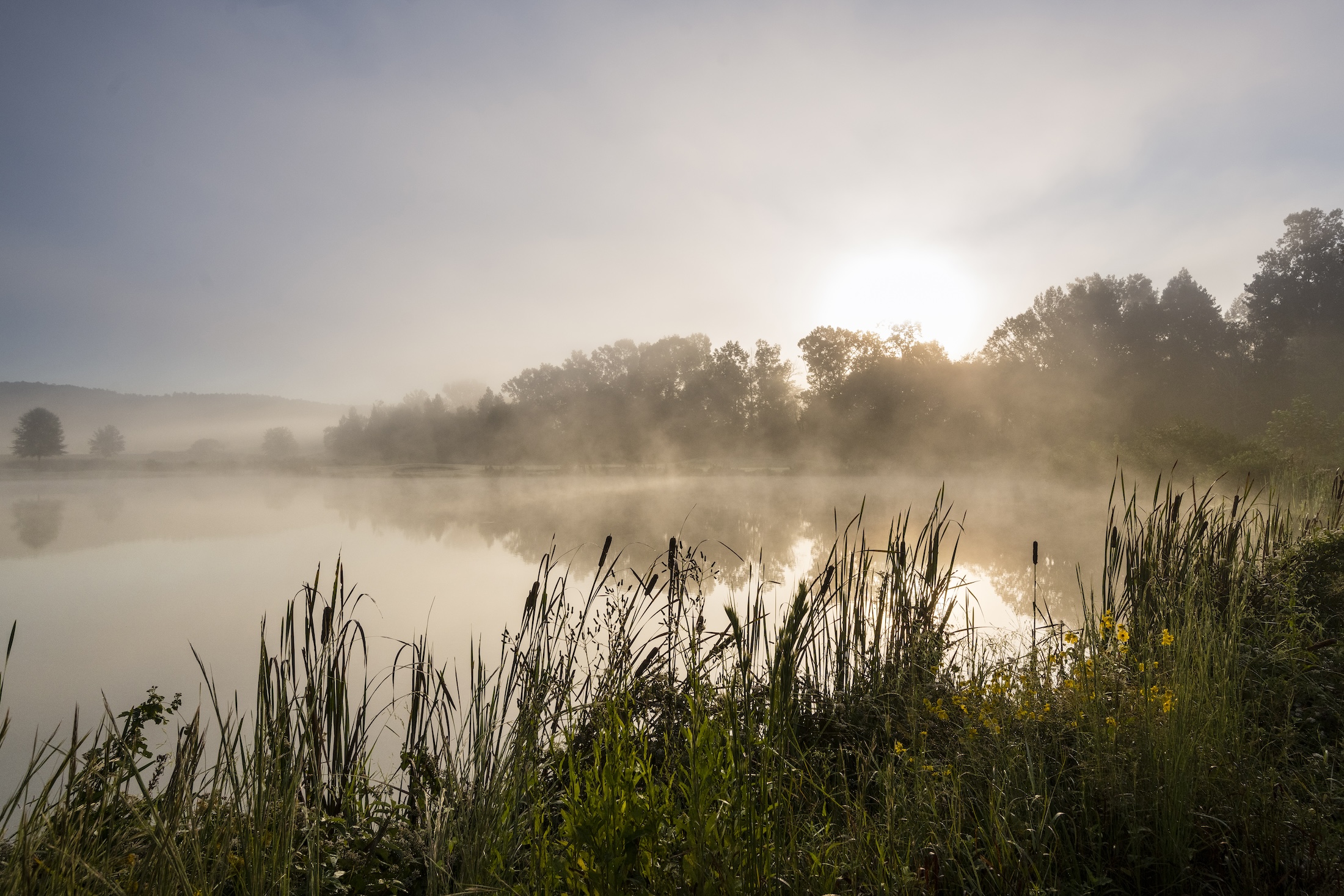 A calm lake with morning fog through the sunshine at Barnsley Resort.