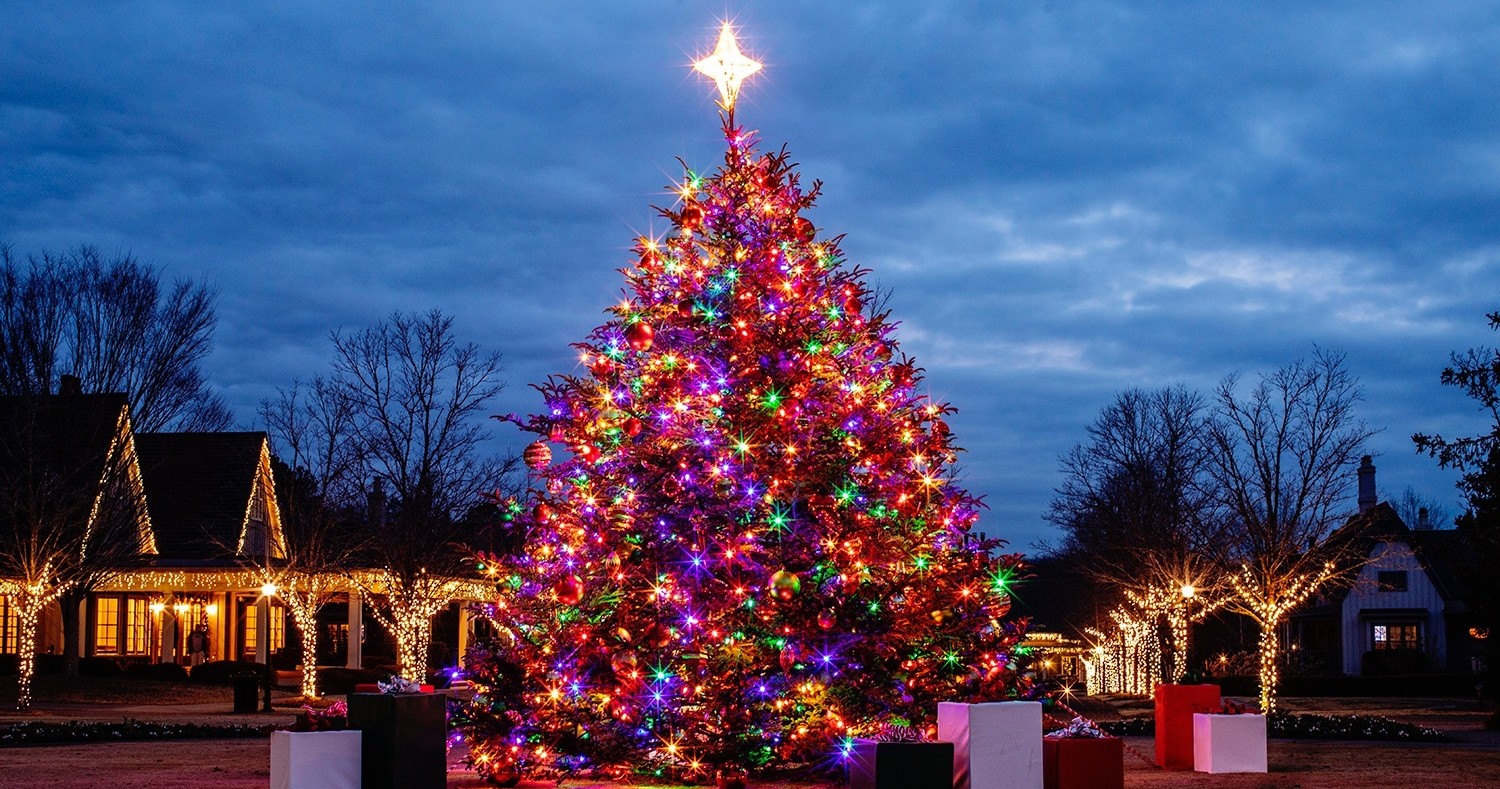 The Christmas tree lit up in the Barnsley Resort village.