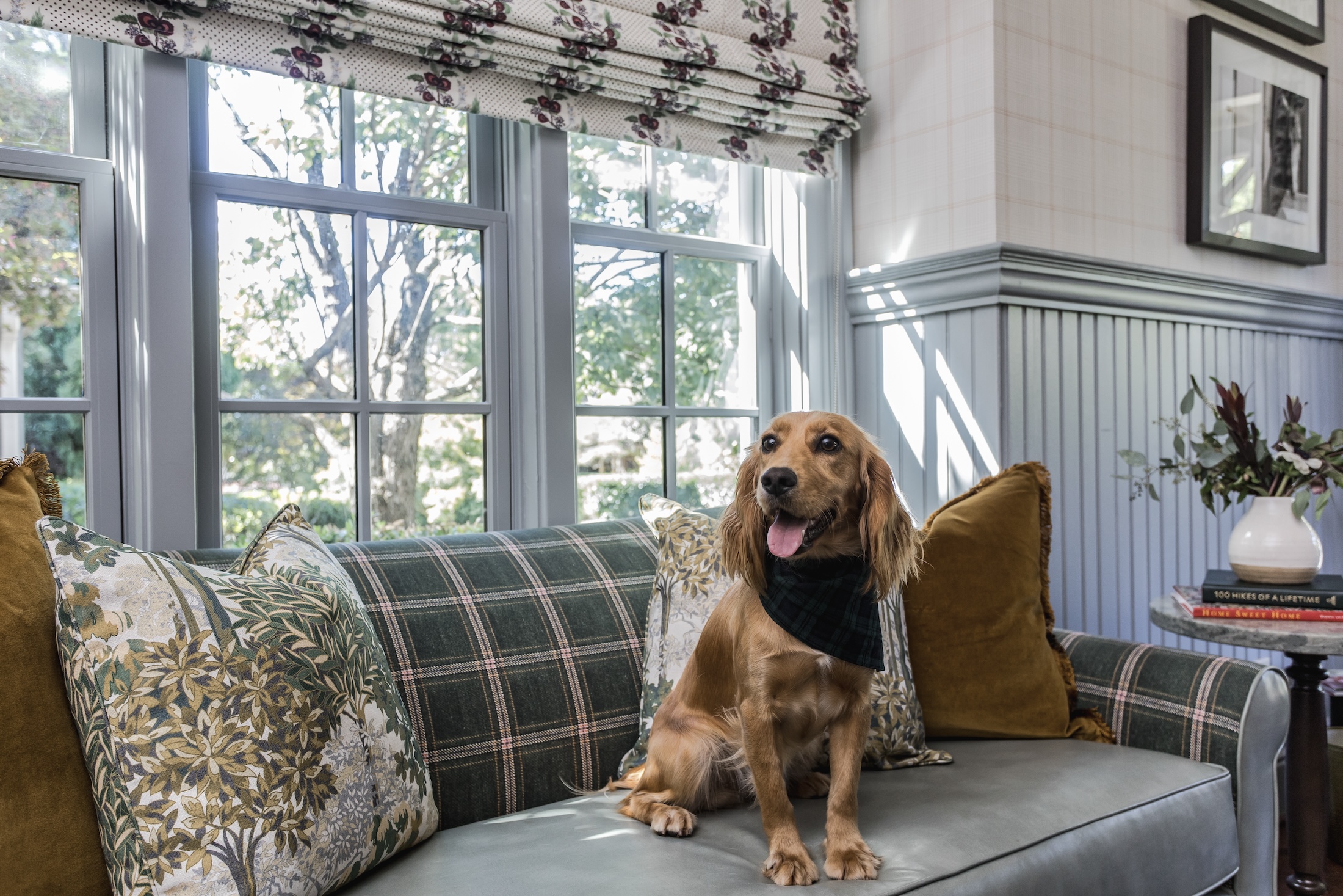 A dog wearing a bandana sits on a couch at Barnsley Resort.