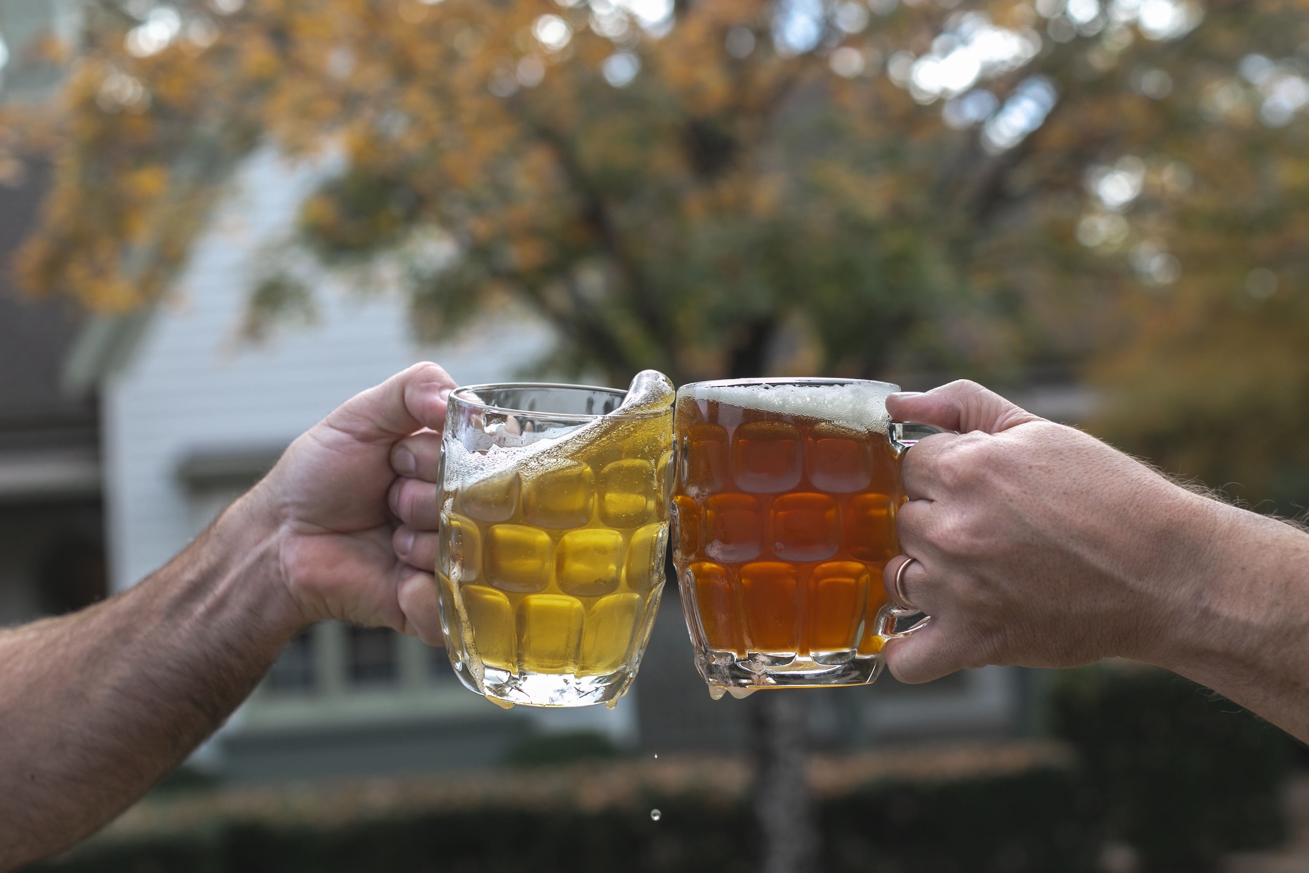 Two steins of beer being clinked at an outdoor beer garden on an overcast fall day.