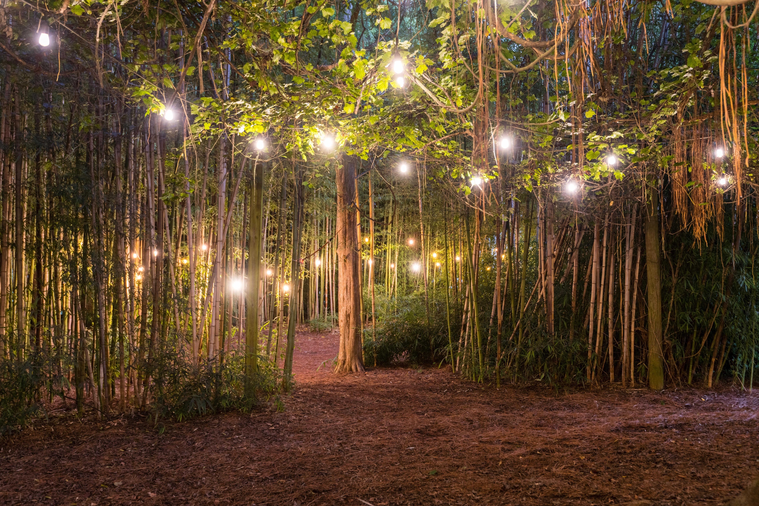 Meditation Garden venue amongst the bamboo trees.