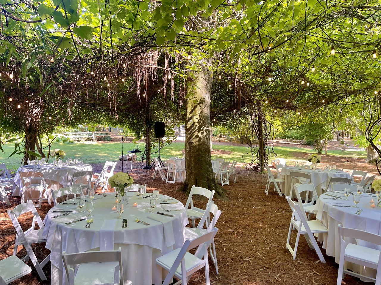 Circular tables are set up throughout the Meditation Garden venue amongst the bamboo trees.