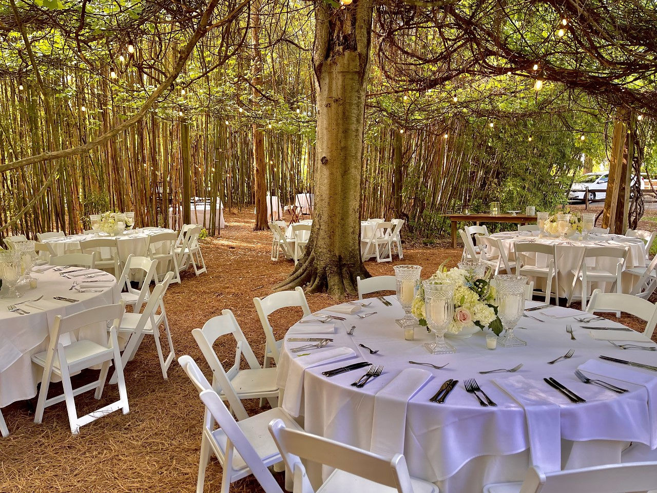 Circular tables are set up throughout the Meditation Garden venue amongst the bamboo trees.